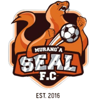 First team logo