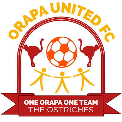 First team logo