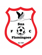 Second team logo