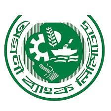 First team logo