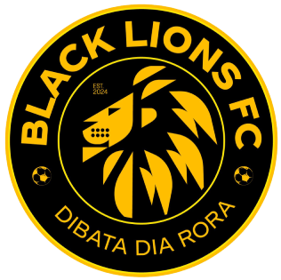 First team logo