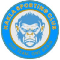 First team logo