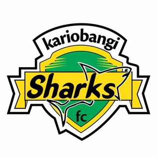 Second team logo