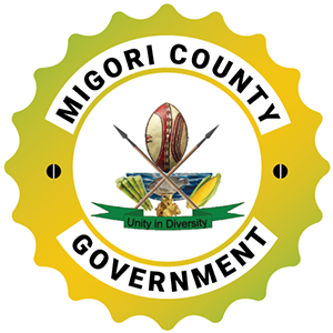 Second team logo
