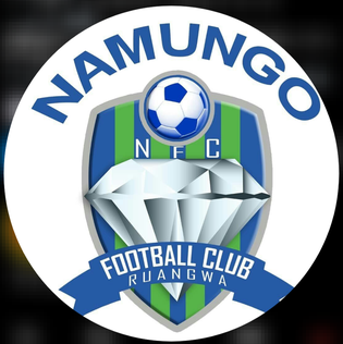 Second team logo