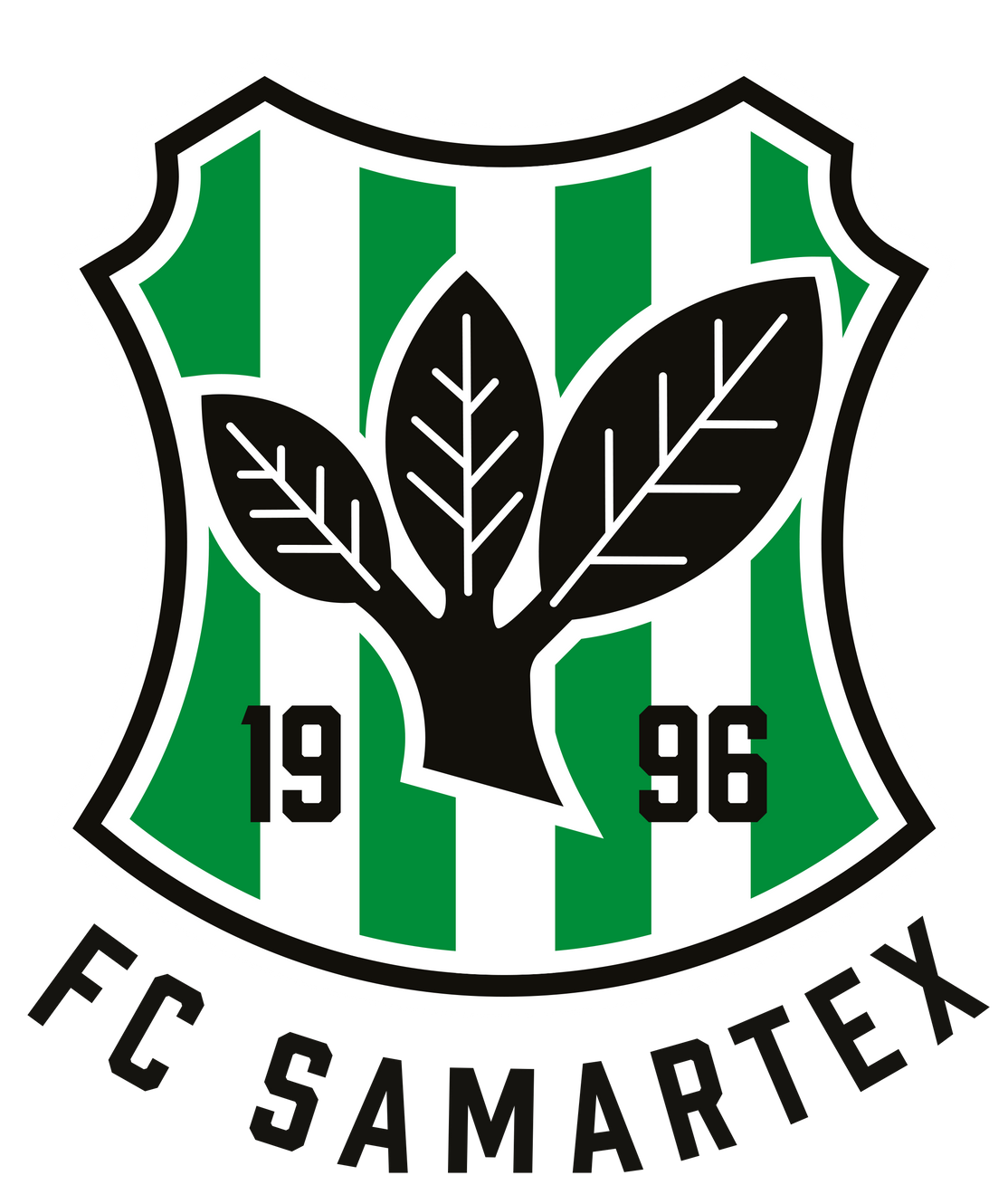 Second team logo