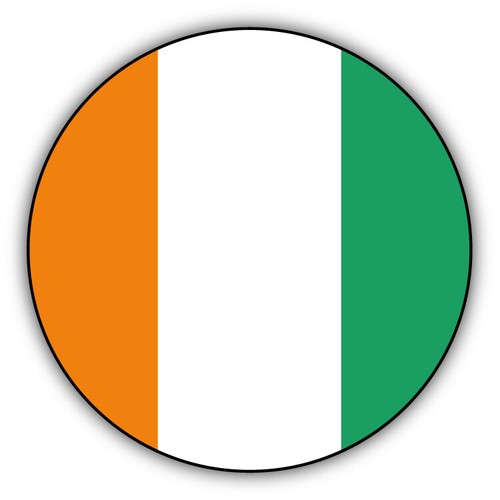First team logo