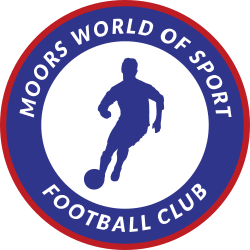 Second team logo