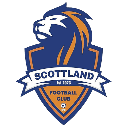 Second team logo