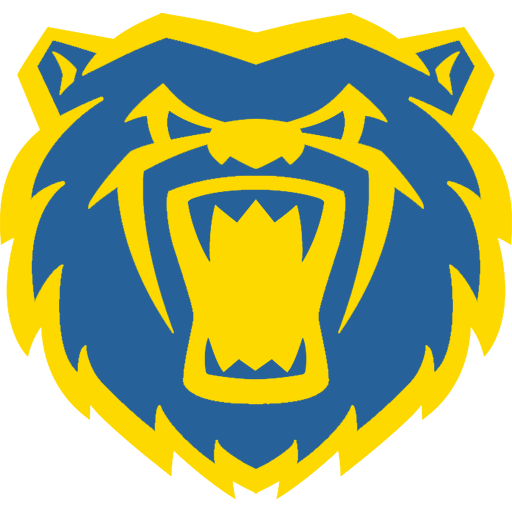 Second team logo