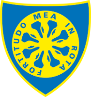 Second team logo