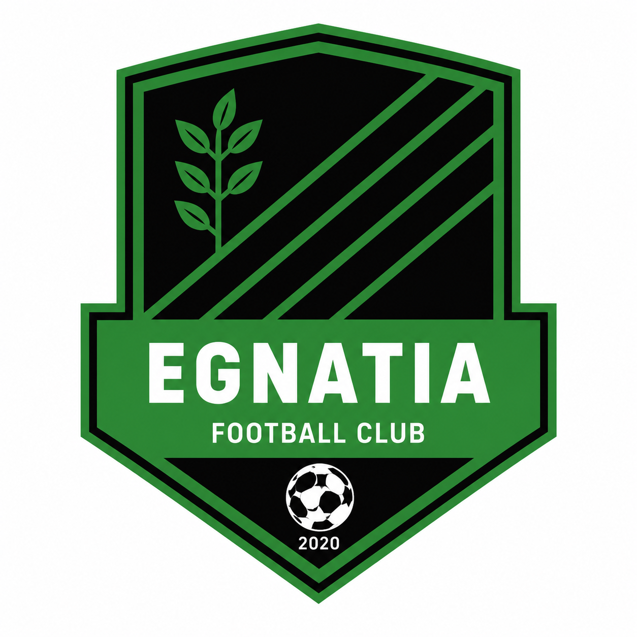 Second team logo
