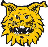 Second team logo