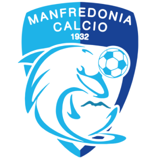 Second team logo