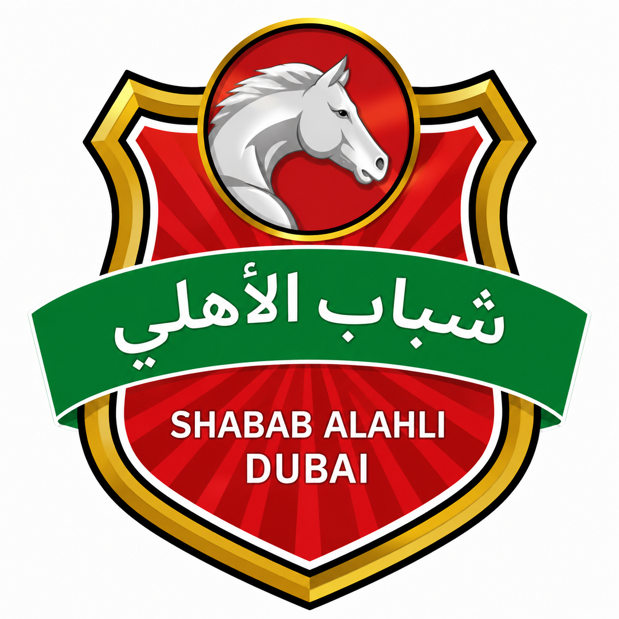 Second team logo