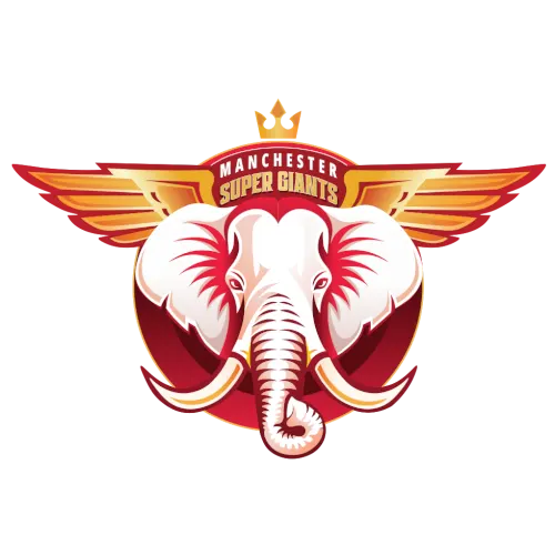 First team logo
