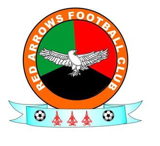 Second team logo