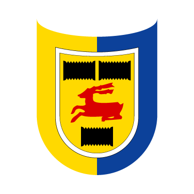 First team logo