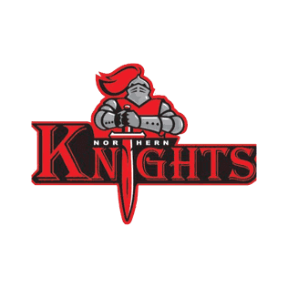 Second team logo