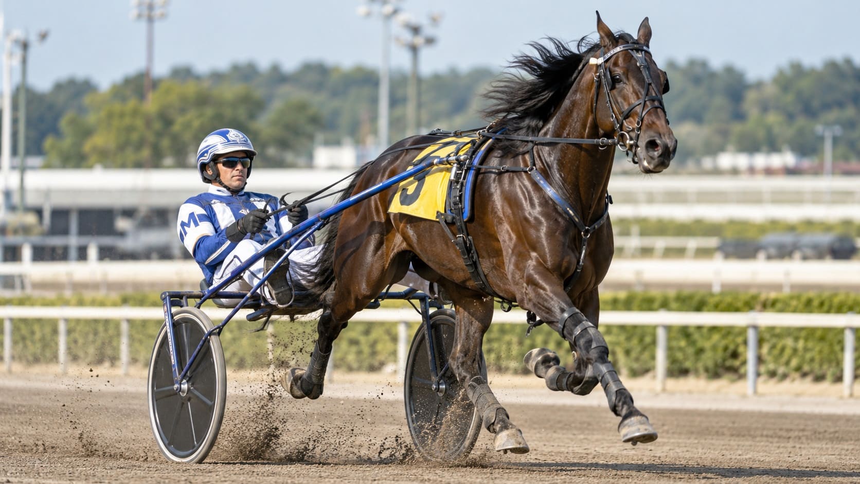 Harness racing horses and drivers competing with sulkies