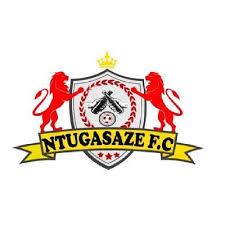 First team logo
